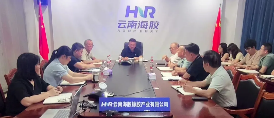 杨宇赴云南海胶、云南合盛调研