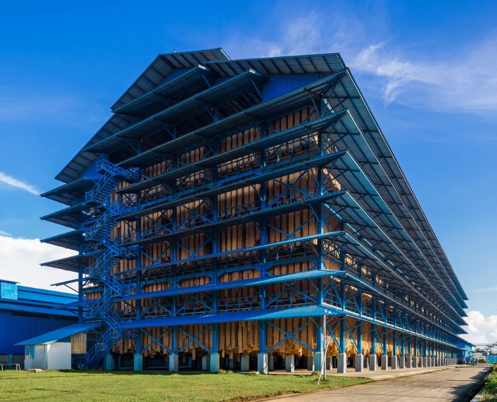 媒体关注丨砥砺十五载 胶融天下路——海南橡胶铸就全球天然橡胶产业新标杆