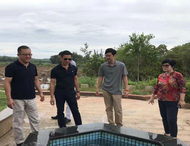 海南橡胶总裁李超陪同绿野集团一行到西联调研(图2)