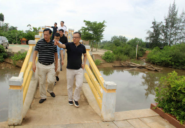 海南橡胶总裁李超陪同绿野集团一行到西联调研(图3)