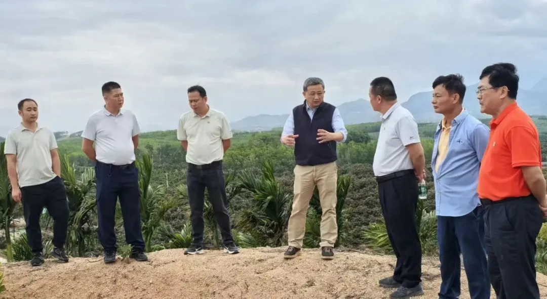 王宏向在山荣分公司召开设置和践行正确政绩观进建教育督导会