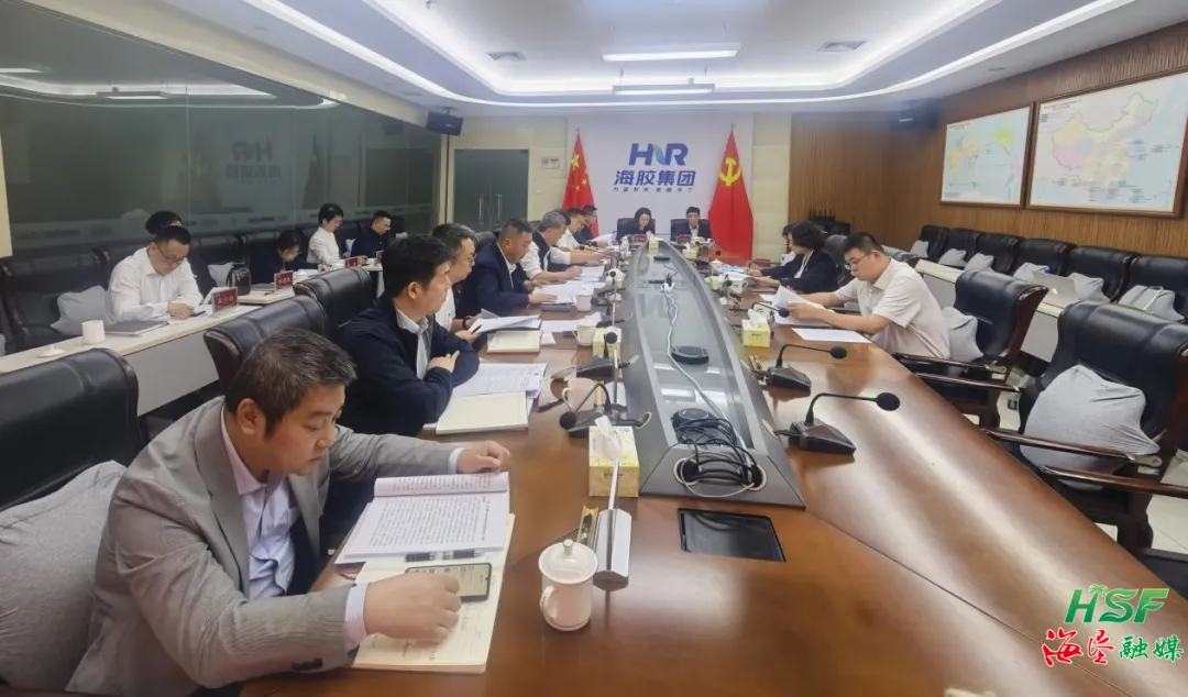 海南橡胶党委2025年度民主生涯会暨以案促改促治专题民主生涯会召开