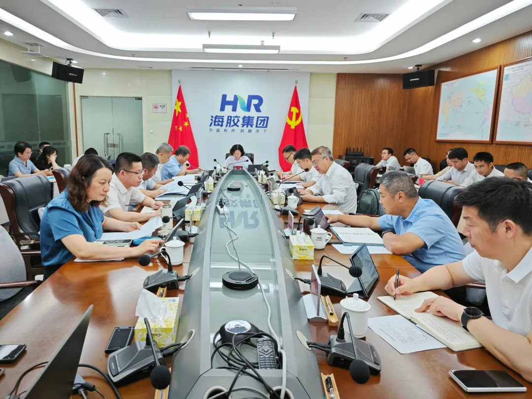 梁翠赴海南橡胶开展经营调研督导