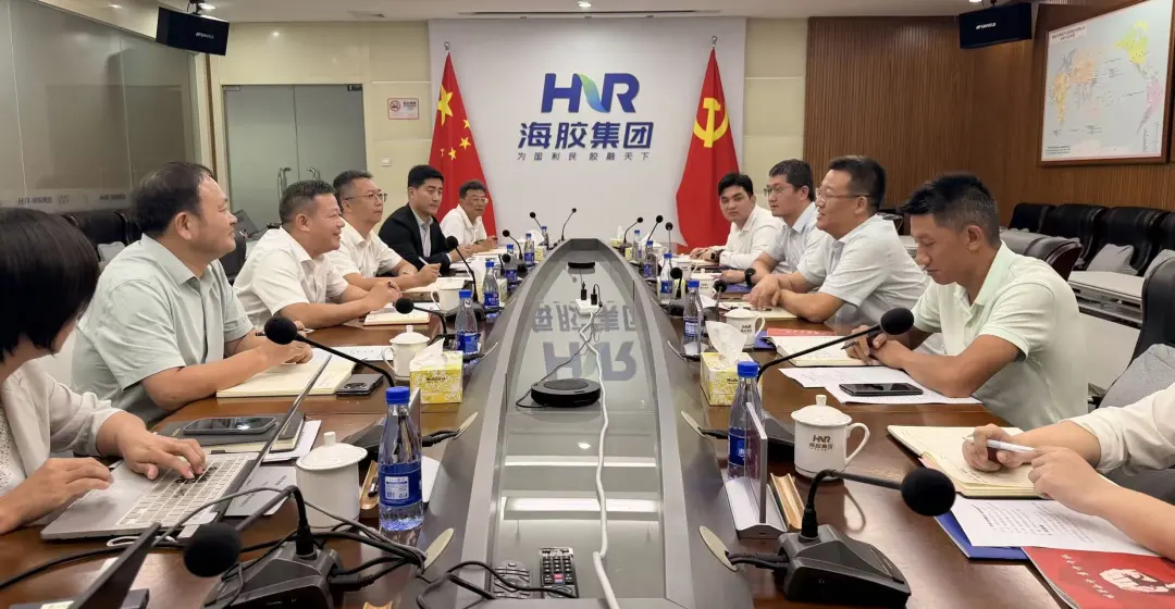 海南橡胶与中国大唐集团国际贸易有限公司座谈