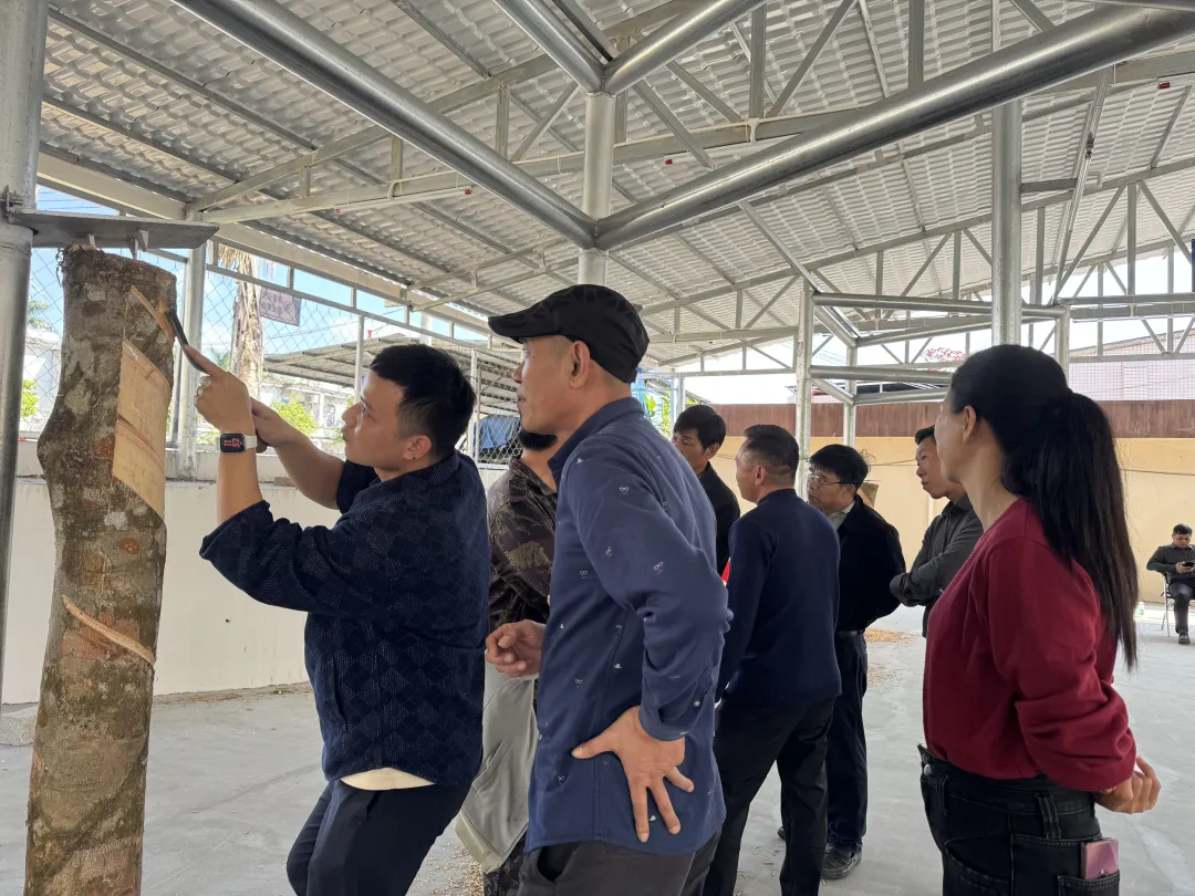 海南橡胶开展橡胶生产专业知识培训