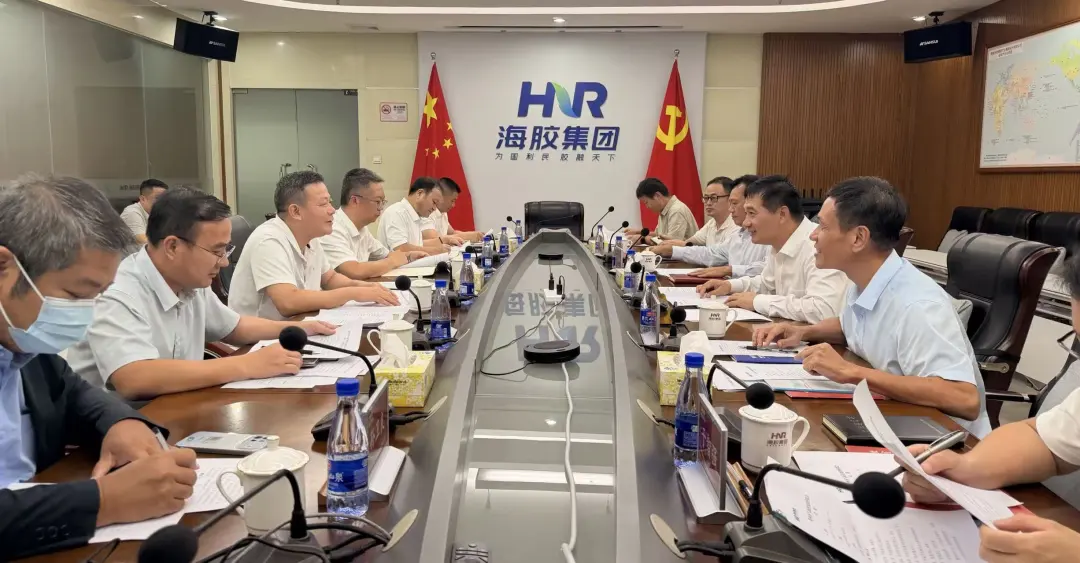 海南橡胶与儋州市座谈