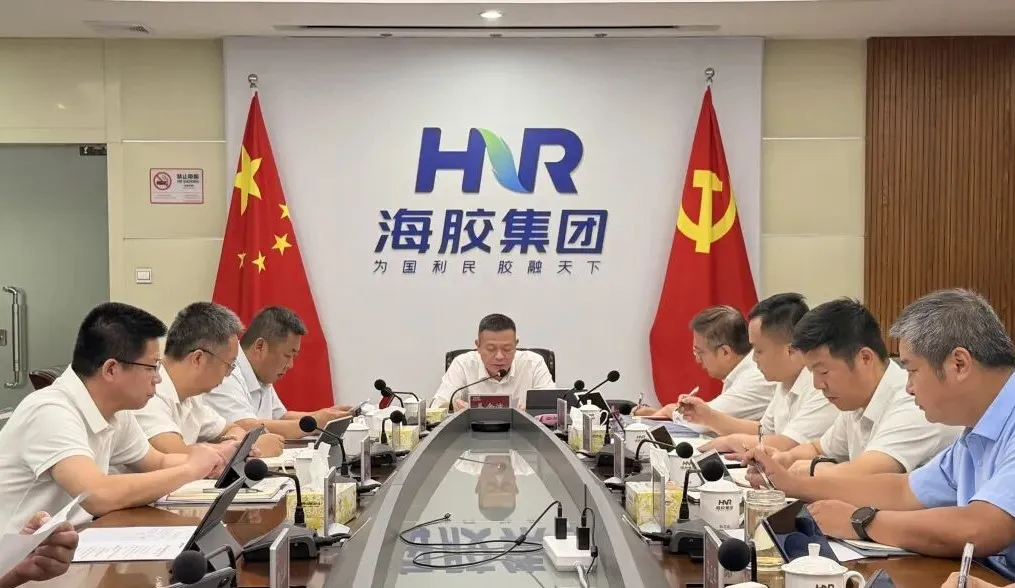 海南橡胶召开党委理论学习中心组（扩大）会议 传达学习习近平总书记重要文章精神