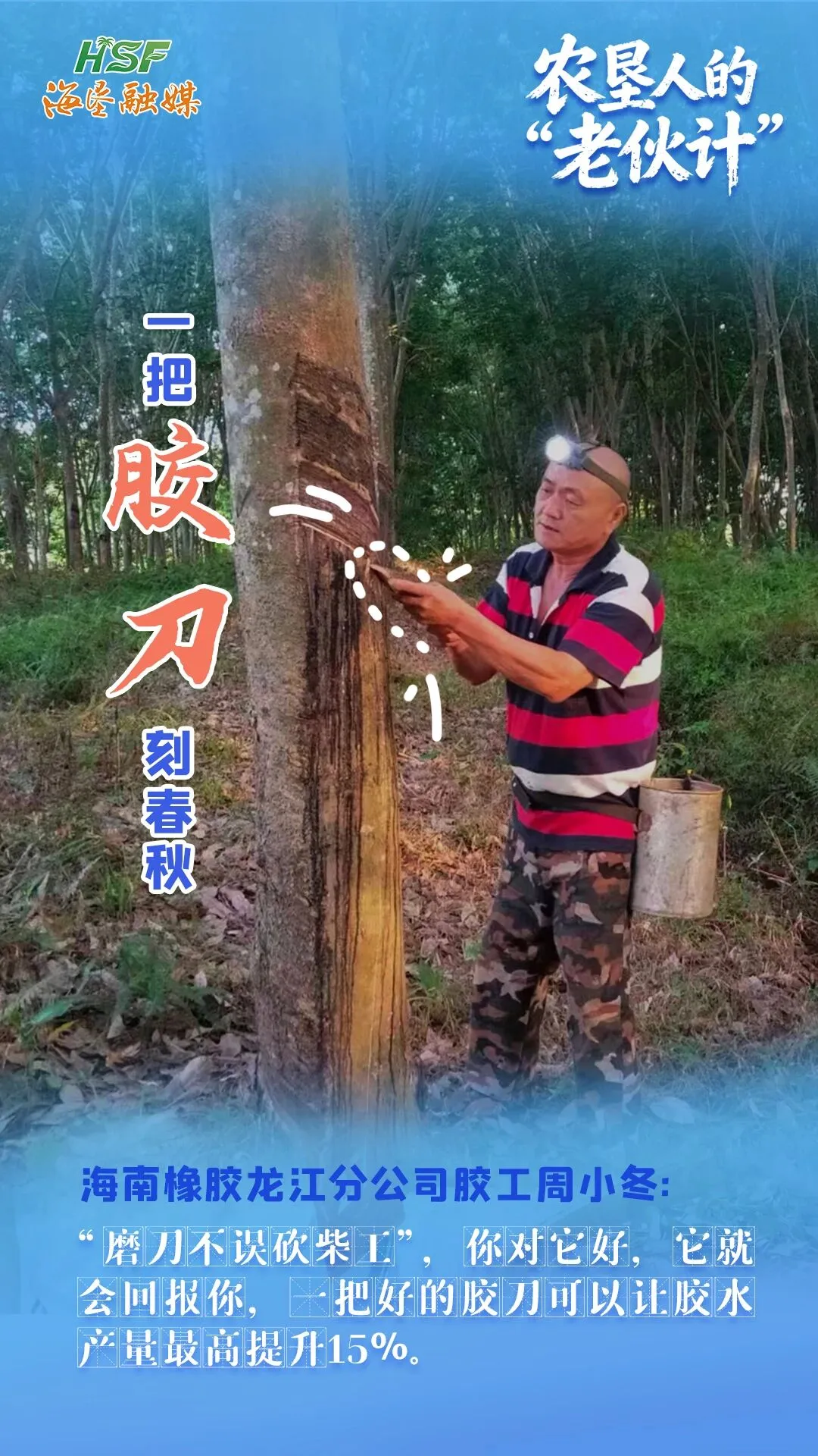 一把胶刀刻春秋