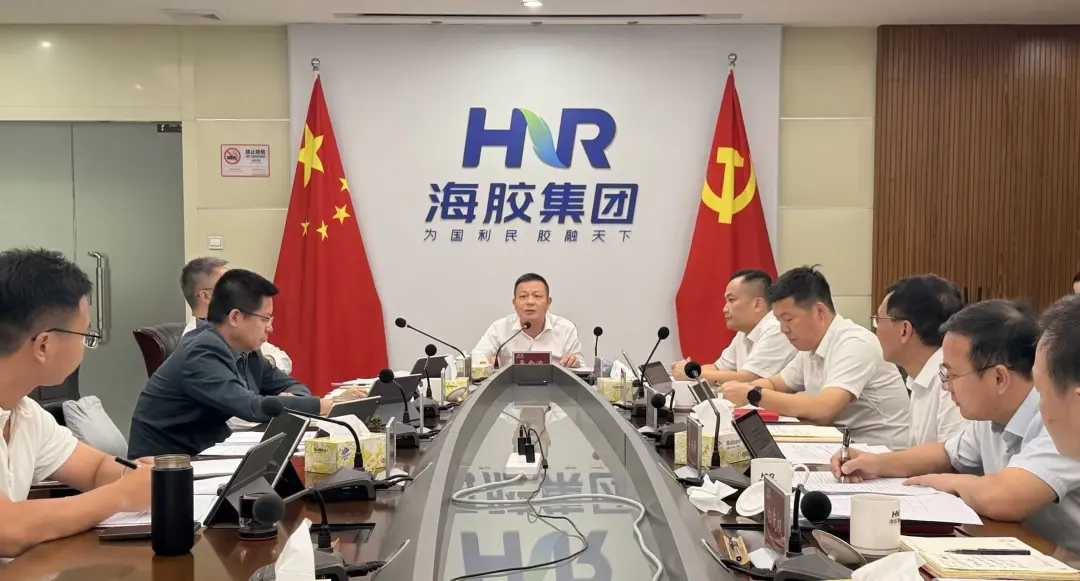 海南橡胶召开党委会（扩大）会议 传达学习习近平总书记重要文章